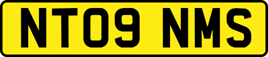 NT09NMS
