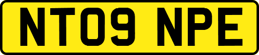 NT09NPE