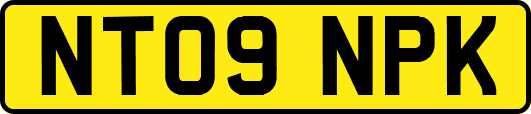 NT09NPK