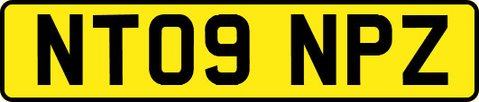 NT09NPZ