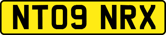 NT09NRX