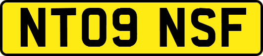 NT09NSF