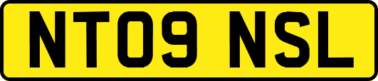 NT09NSL