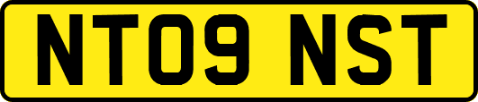 NT09NST