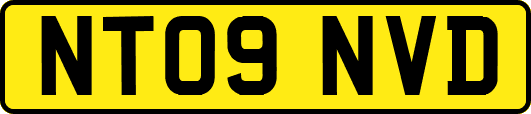 NT09NVD