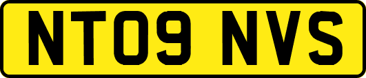 NT09NVS