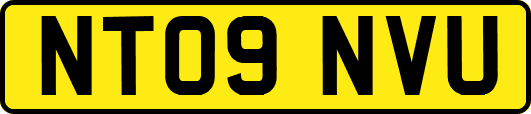 NT09NVU