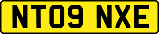 NT09NXE