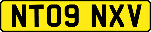 NT09NXV
