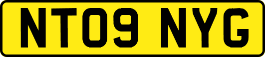 NT09NYG