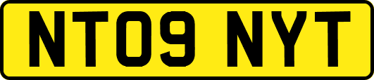 NT09NYT