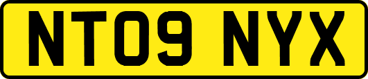 NT09NYX