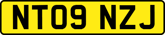 NT09NZJ