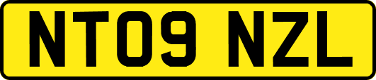 NT09NZL