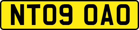 NT09OAO