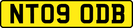 NT09ODB