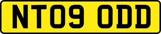 NT09ODD