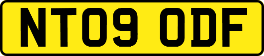 NT09ODF