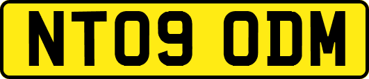 NT09ODM
