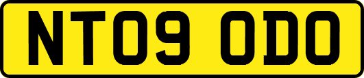 NT09ODO