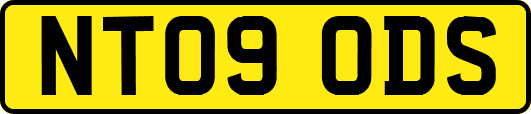 NT09ODS
