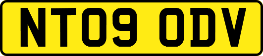 NT09ODV