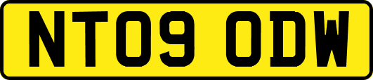 NT09ODW