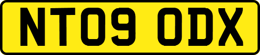 NT09ODX