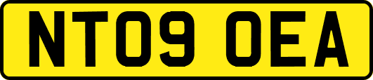 NT09OEA