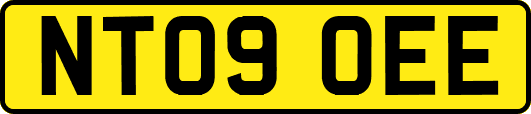 NT09OEE