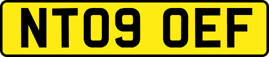 NT09OEF