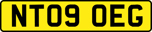 NT09OEG