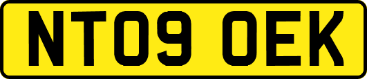 NT09OEK
