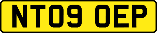NT09OEP