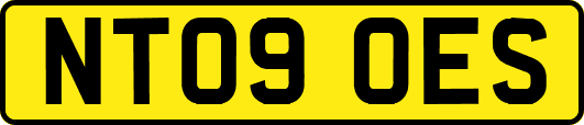 NT09OES