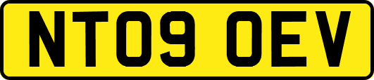 NT09OEV