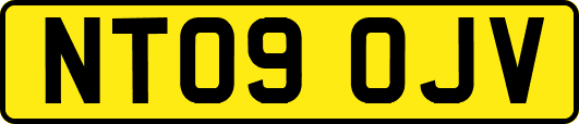 NT09OJV