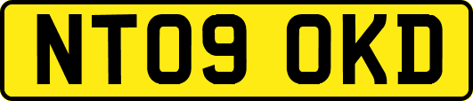 NT09OKD