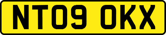 NT09OKX