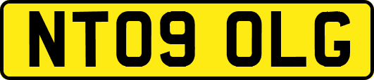 NT09OLG