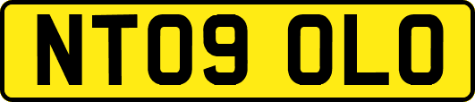NT09OLO