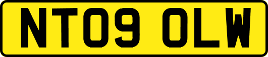 NT09OLW
