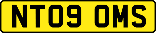 NT09OMS