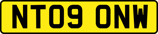 NT09ONW