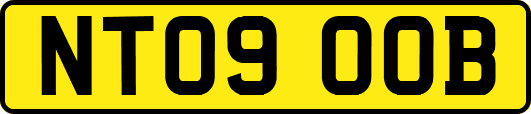 NT09OOB