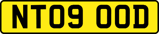 NT09OOD