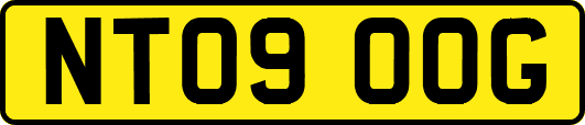 NT09OOG