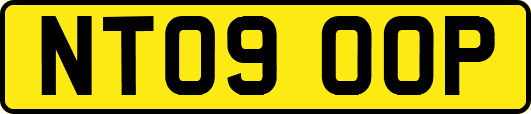 NT09OOP