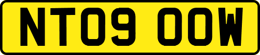 NT09OOW