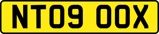 NT09OOX